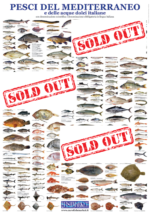 Poster-pesci-mediterranei sold out_vecchia edizione