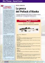 Screen_La pesca del Pollack d'Alaska