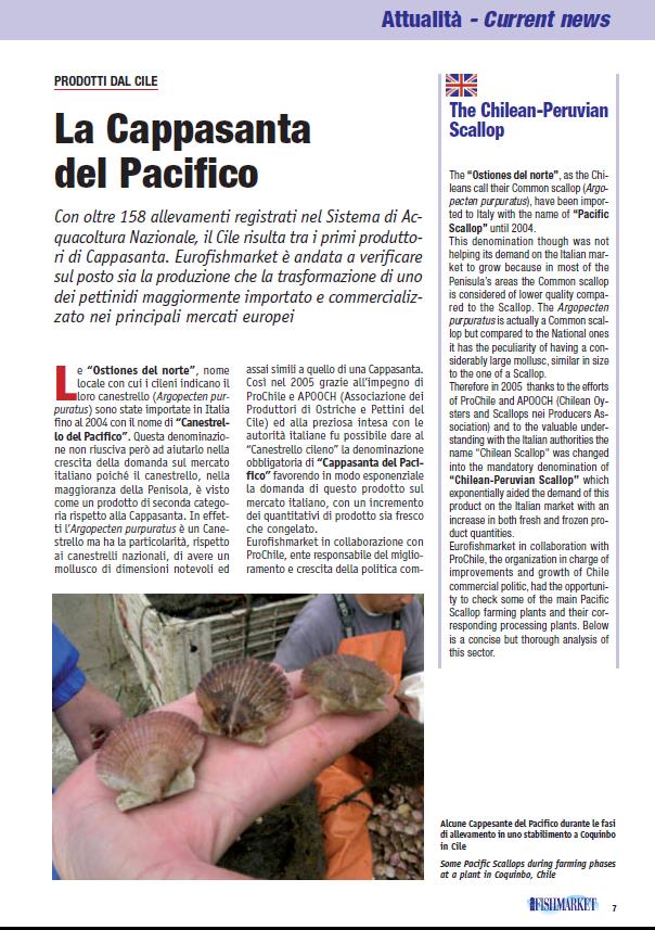 Screen_EFM14Attualita-CappasantadelPacifico Screen_EFM14Attualita-CappasantadelPacifico