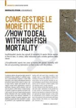 screen_EFM_19_01_COME GESTIRE LE MORIE ITTICHE
