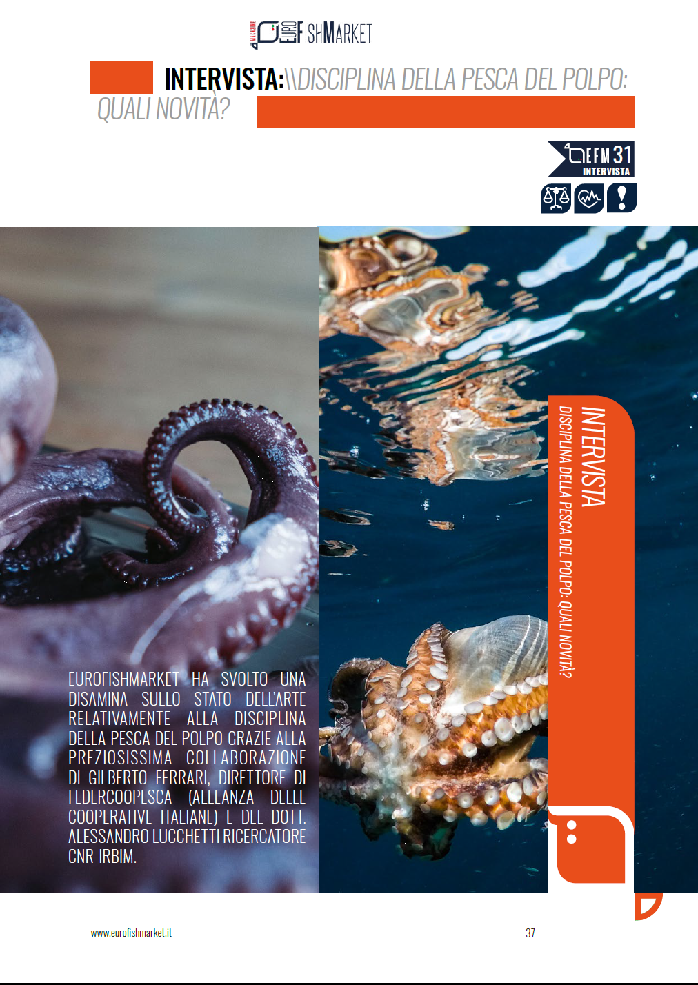 disciplina_pesca_polpo_screen